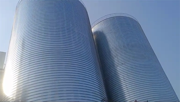 南乐2座混凝土高架卷板仓